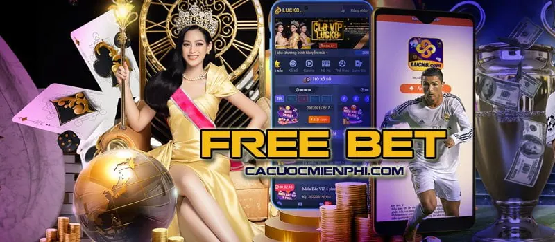 Hướng dẫn Rwin - Theo dõi một lượt từ đầu đến cuối