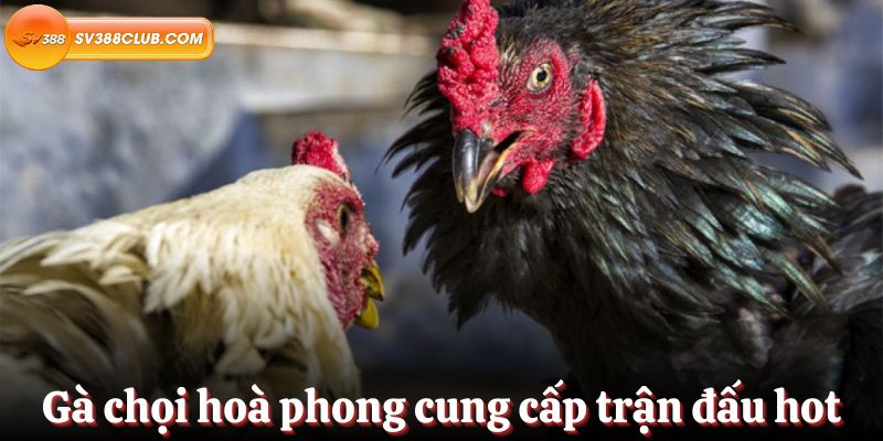Đối chiếu thông tin thay vì suy đoán - Ok9